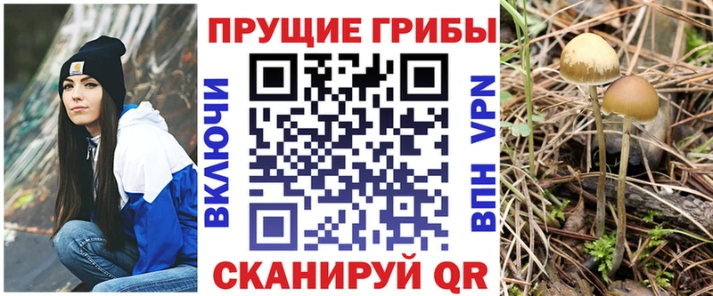 кракен ссылки  Щёлкино  Псилоцибиновые грибы ЛСД  магазин   